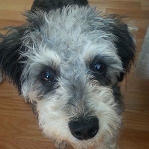 Meet your Posher, Tania